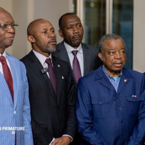 Riposte contre Ebola: la situation désormais sous contrôle