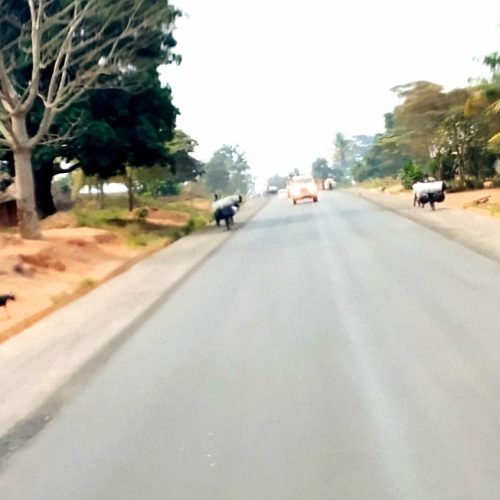 Kasaï-Central: Trois morts dans une collision entre une moto et un camion de Safrimex sur la route Kalamba-Mbuji